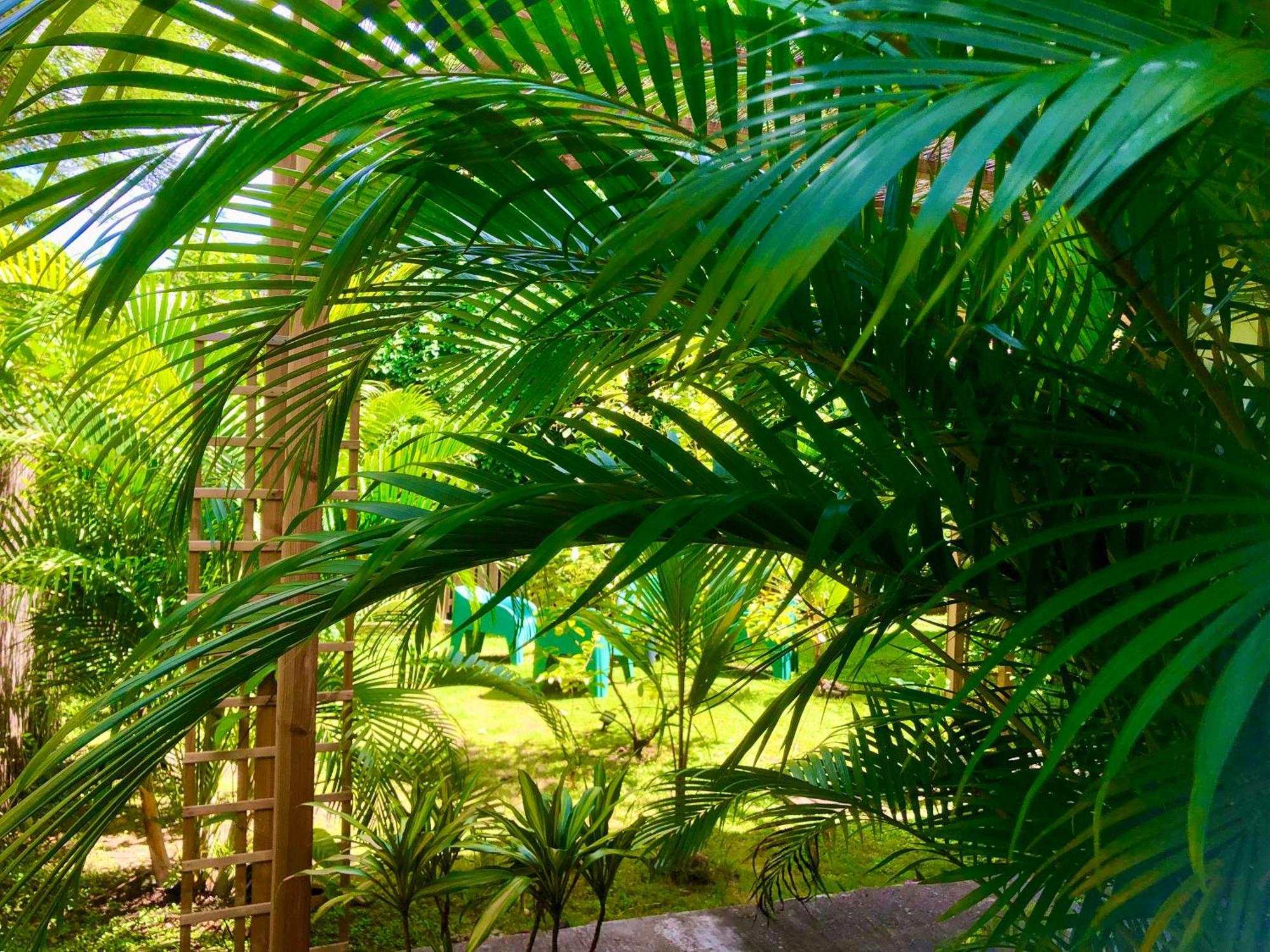 Villa Ti Kay Ilets Les Trois-Ilets Exterior foto